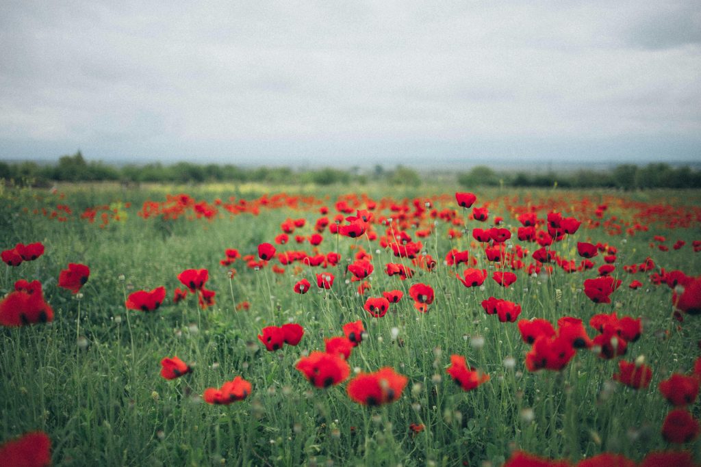 VE Day | Police Mutual