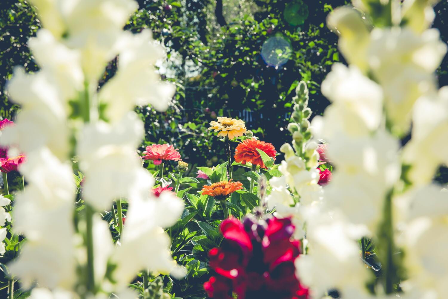Getting Your Home Summer Ready | Police Mutual