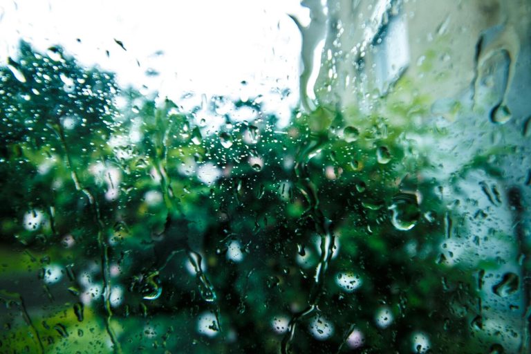 Storm-proofing your Home for Summer Weather Surprises | Police Mutual