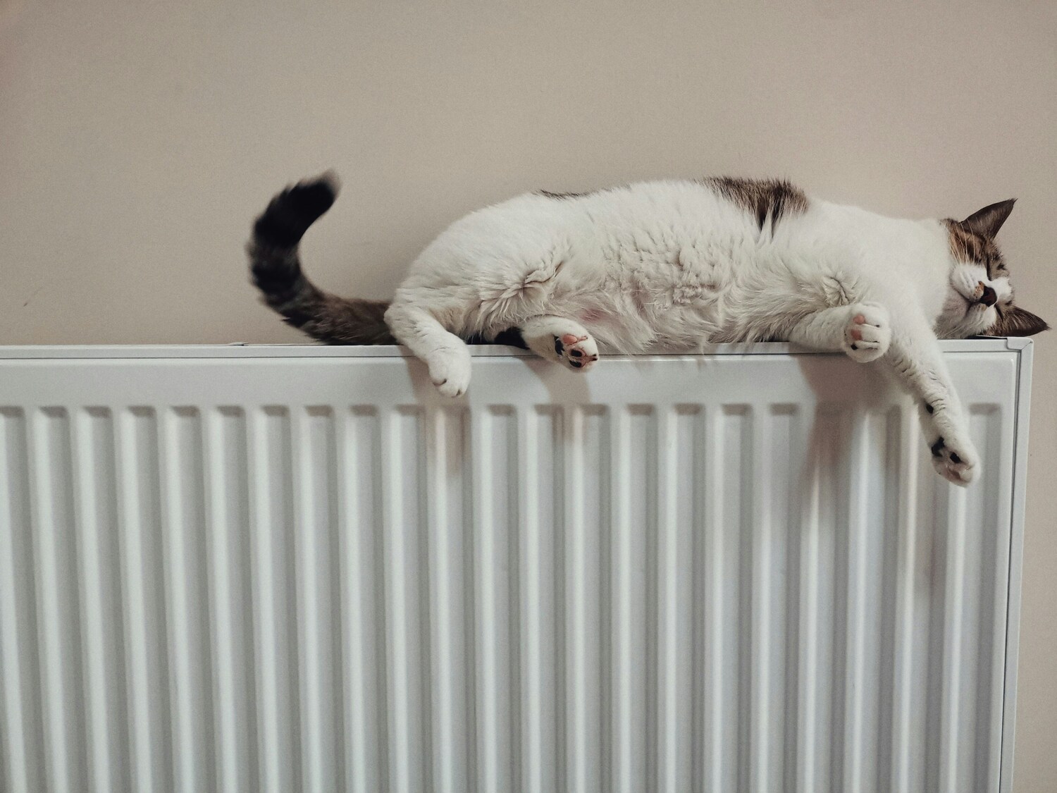 Managing Your Energy Bills This Winter | Police Mutual