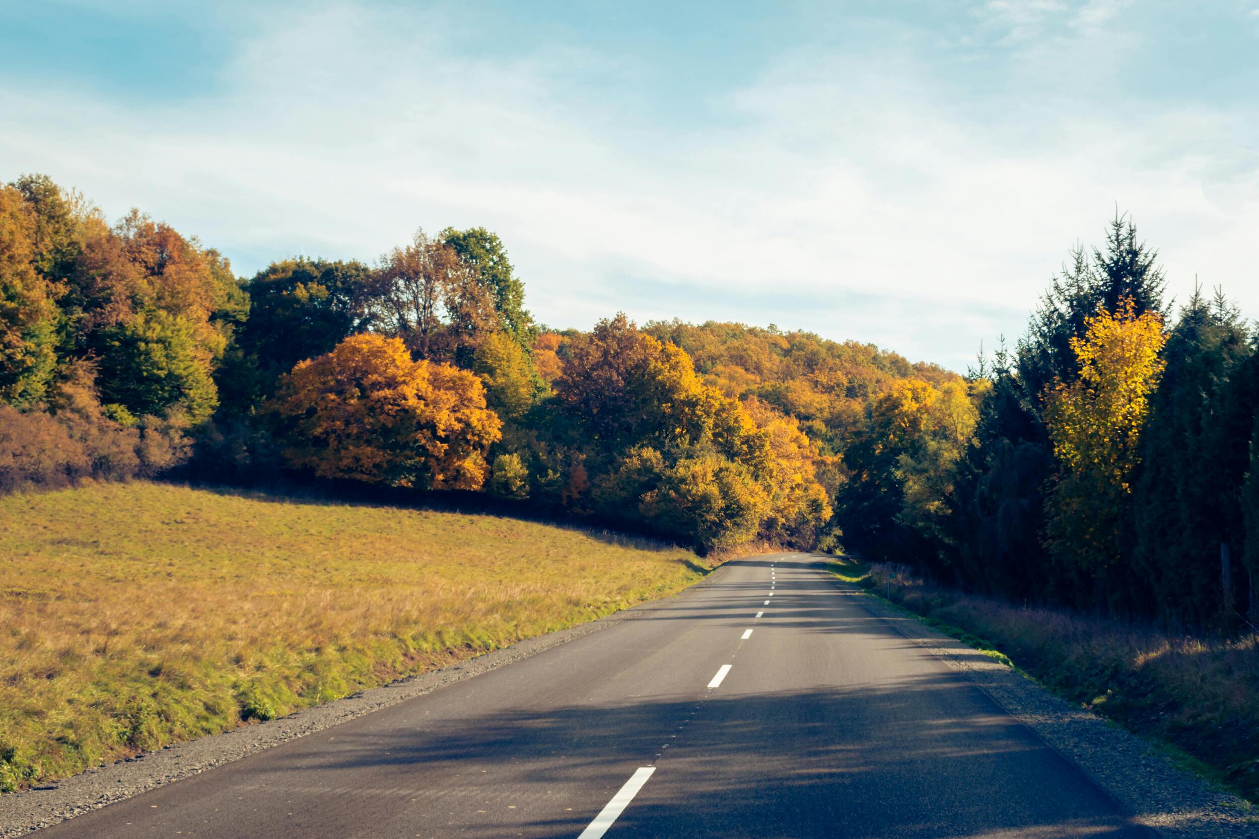 Car Insurance | Police Mutual