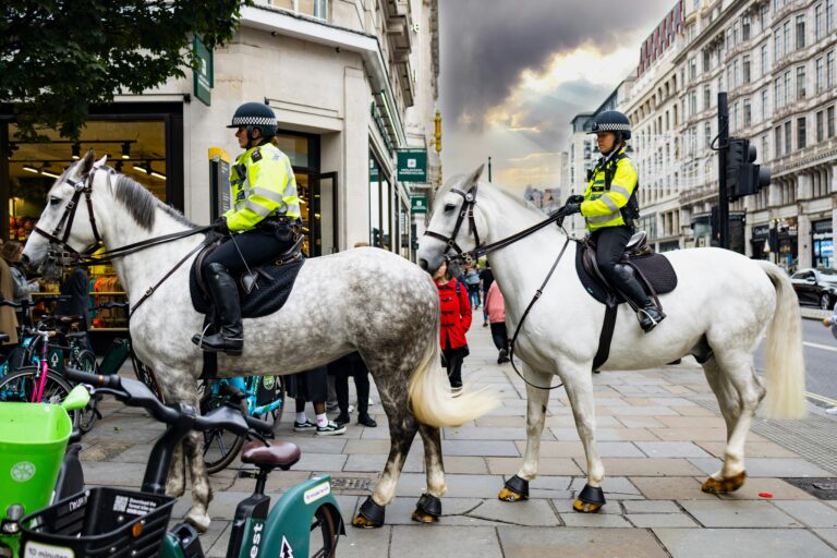 Police Horses | Police Mutual
