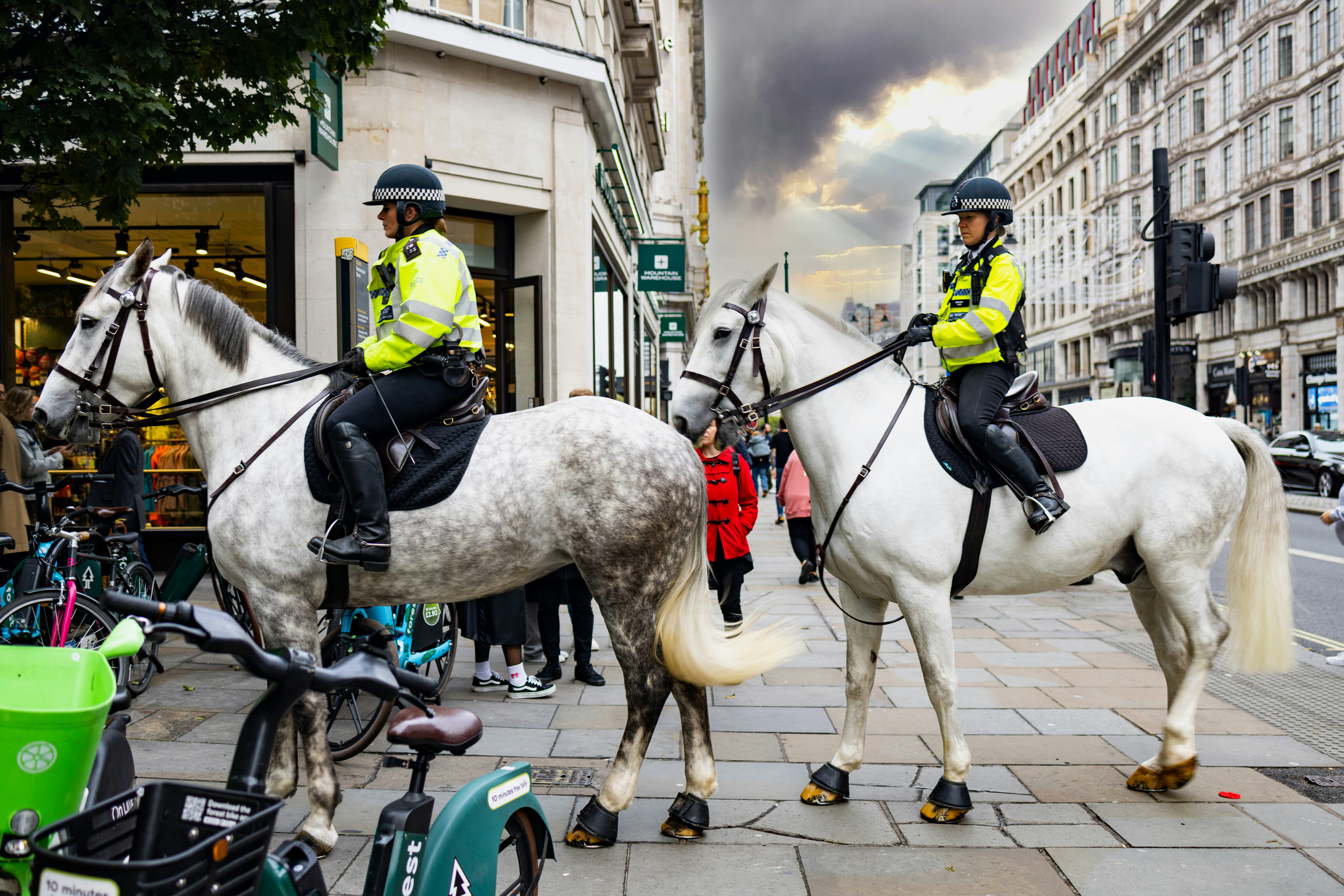 Police Horses | Police Mutual