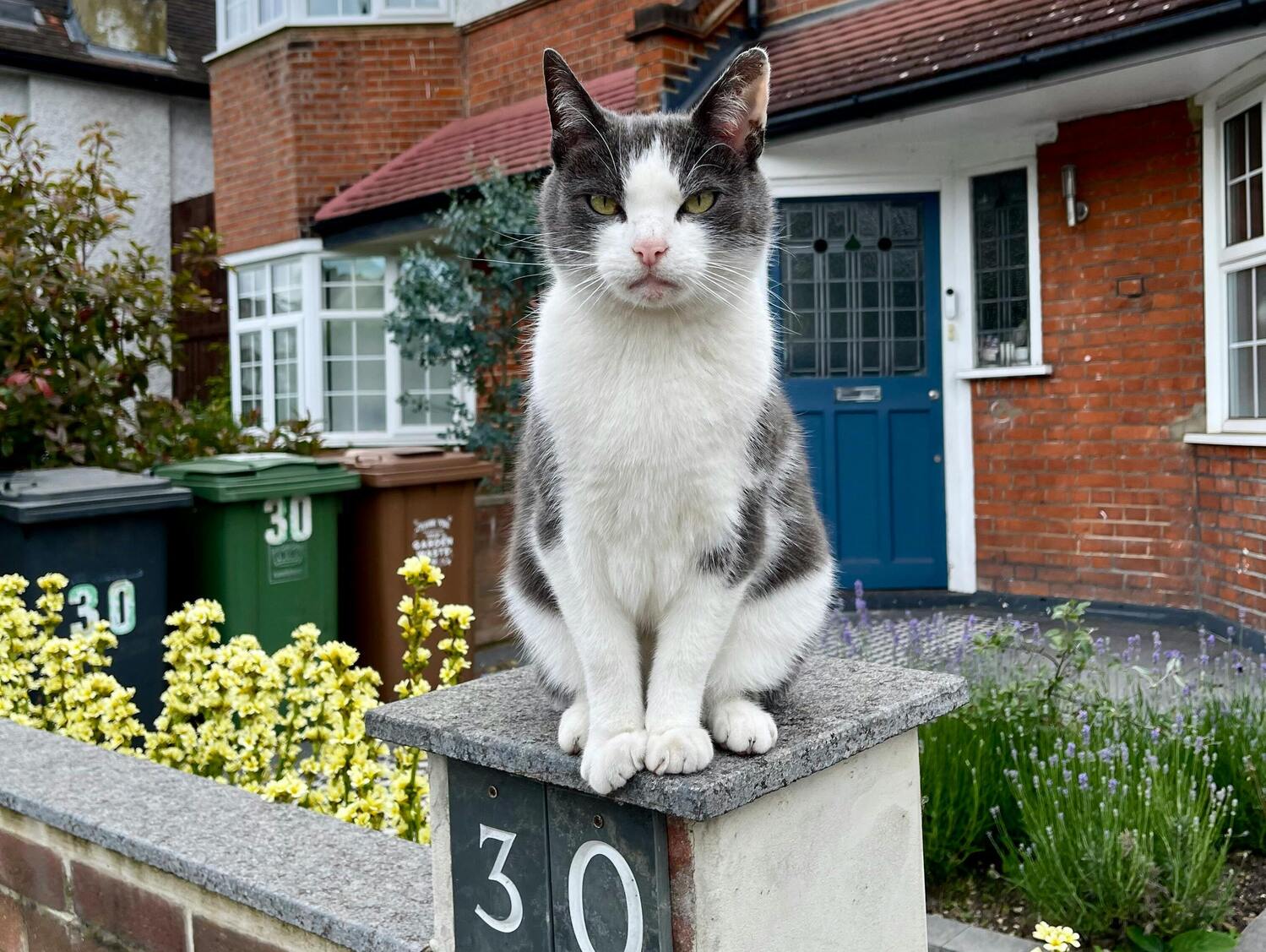 First-time buyer in the Forces? Your guide to mortgages for Military personnel | Police Mutual